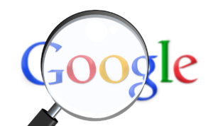 Read more about the article Google Search Console Coverage / Index Report क्या है?