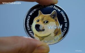 Read more about the article DOGECOIN क्या है? इसे किसने बनाया? कब बनाया और क्यों बनाया?